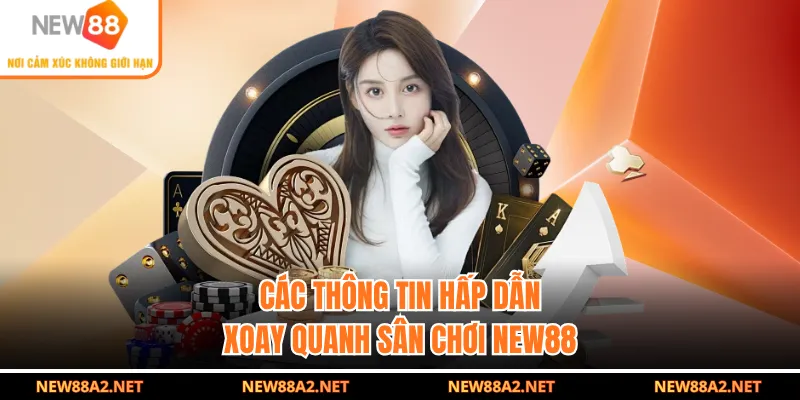 Các thông tin hấp dẫn xoay quanh sân chơi NEW88