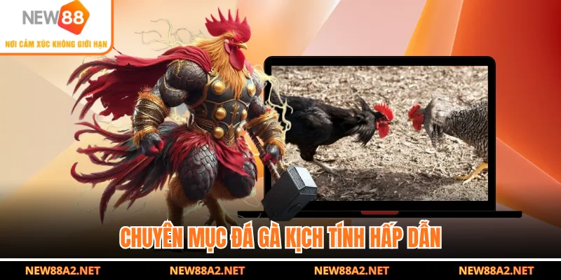 Chuyên mục đá gà kịch tính hấp dẫn