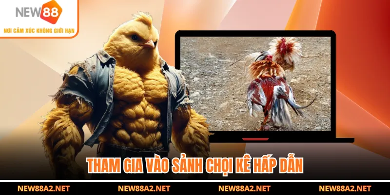 Tham gia vào sảnh chọi kê hấp dẫn
