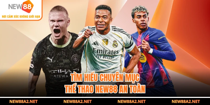 Tìm hiểu chuyên mục thể thao NEW88 an toàn