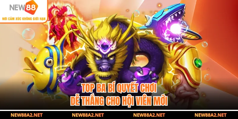 Top ba bí quyết chơi dễ thắng cho hội viên mới